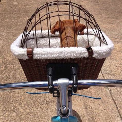 Diy Dog Bike Basket